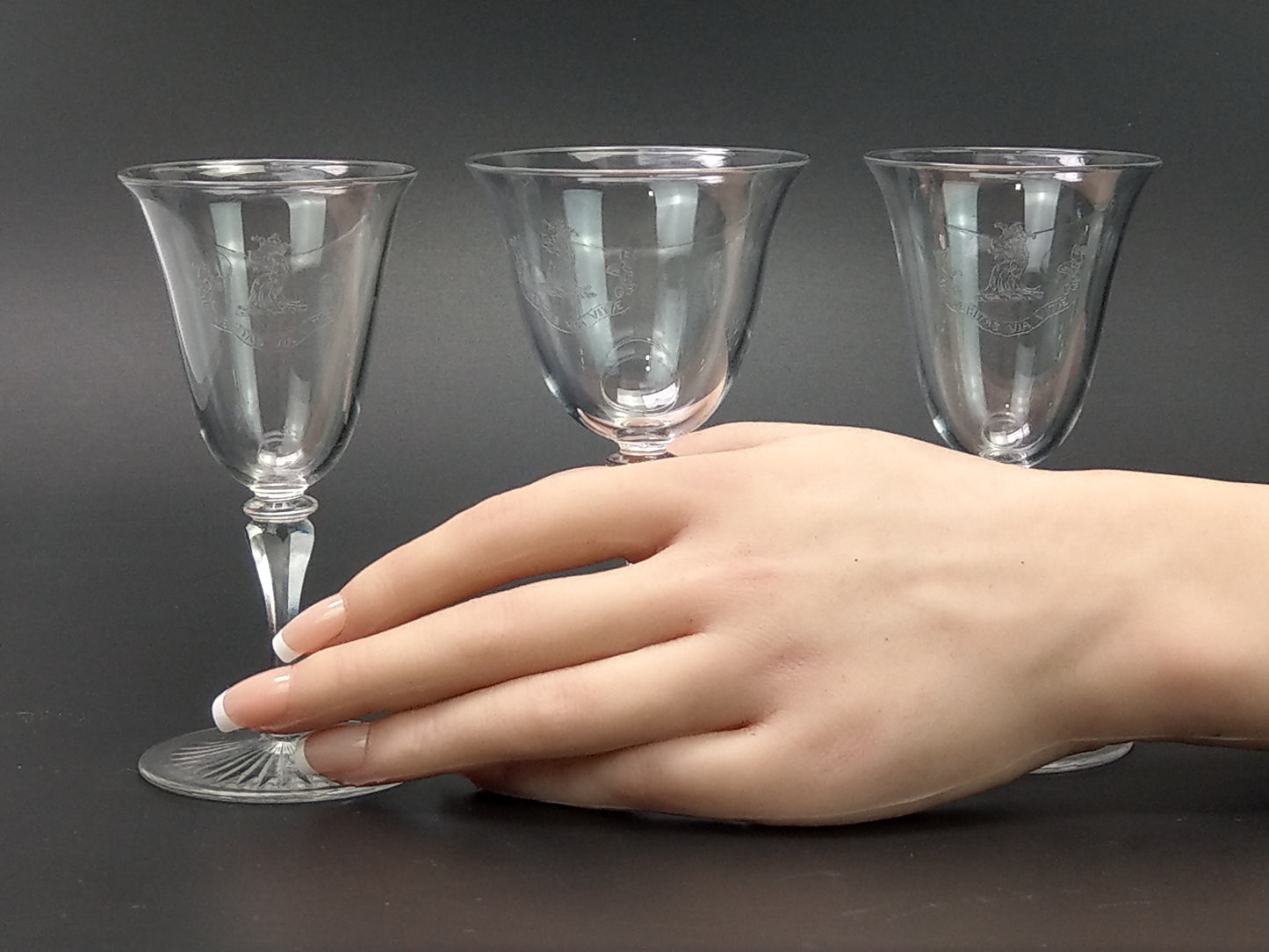 Antique Wine Glasses with Etched Scottish Clan Crest "Veritas via Vitae"