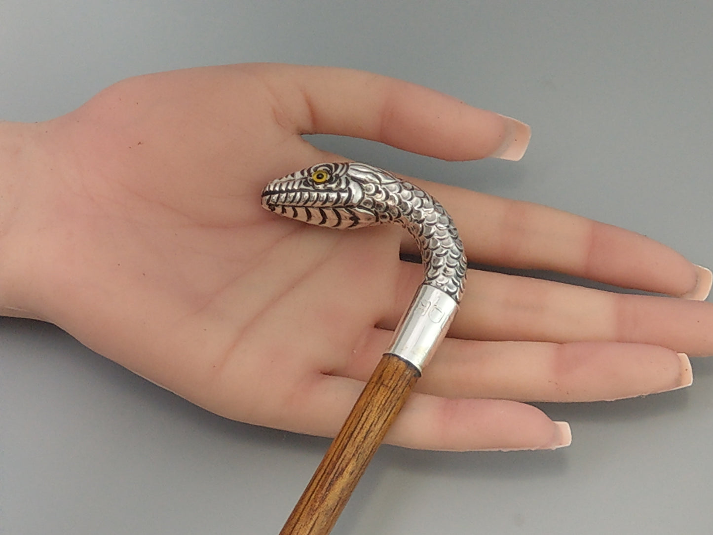 Lady's Decorative Antique Walking Stick with Silver Snake Handle by Charles Boyton & Son