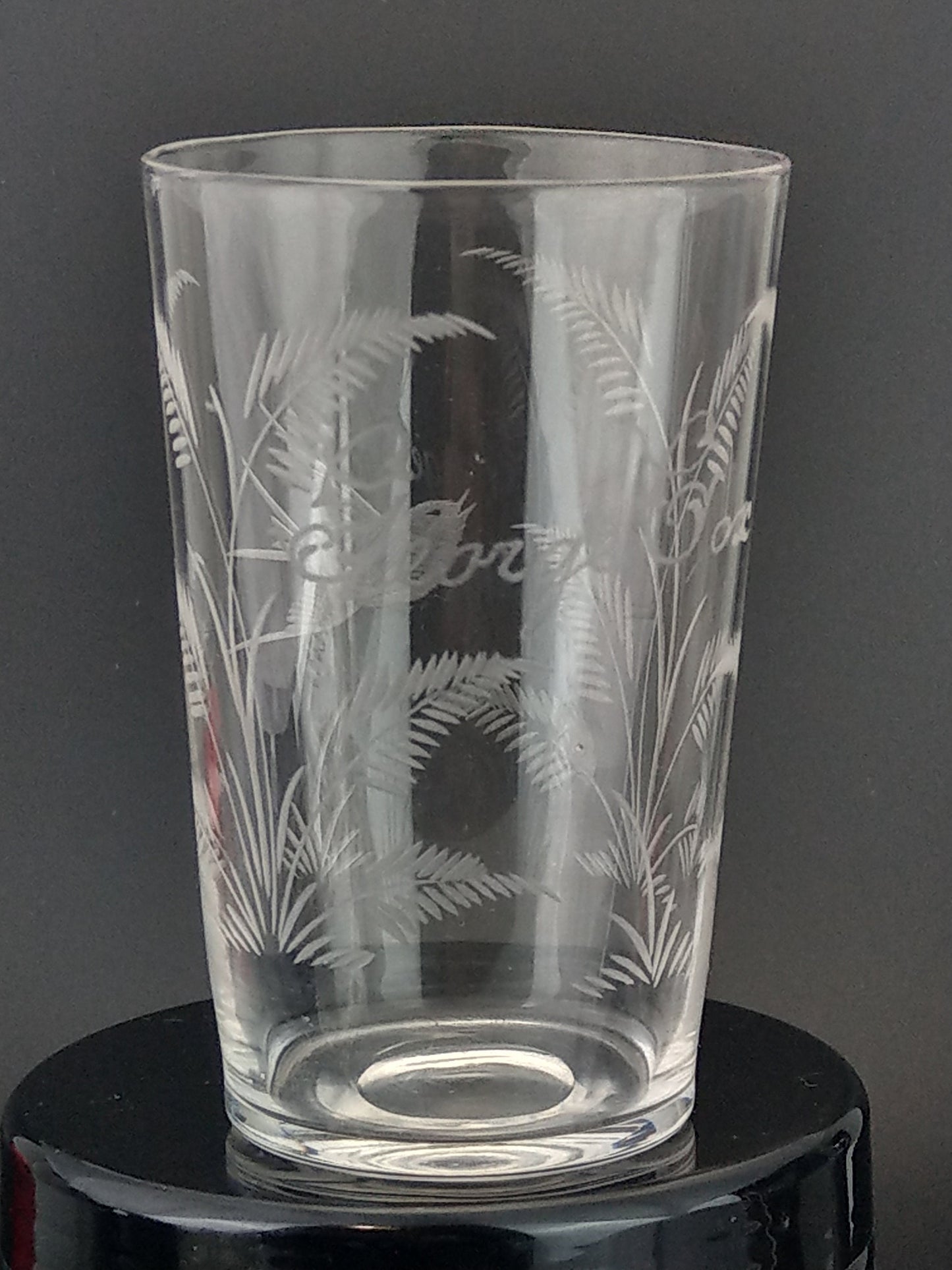 Victorian etched glass beaker wedding gift Fern and Swallow George Cox
