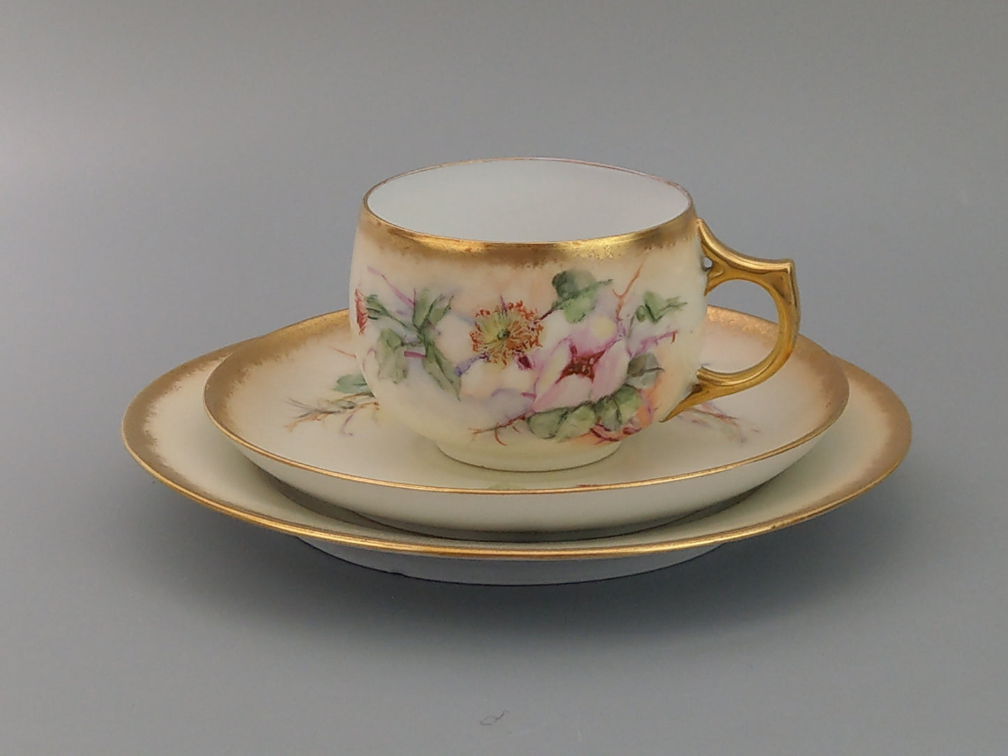 German Floral Trio Teacup and Saucer, Hand-Painted with Gold Gilt Rim