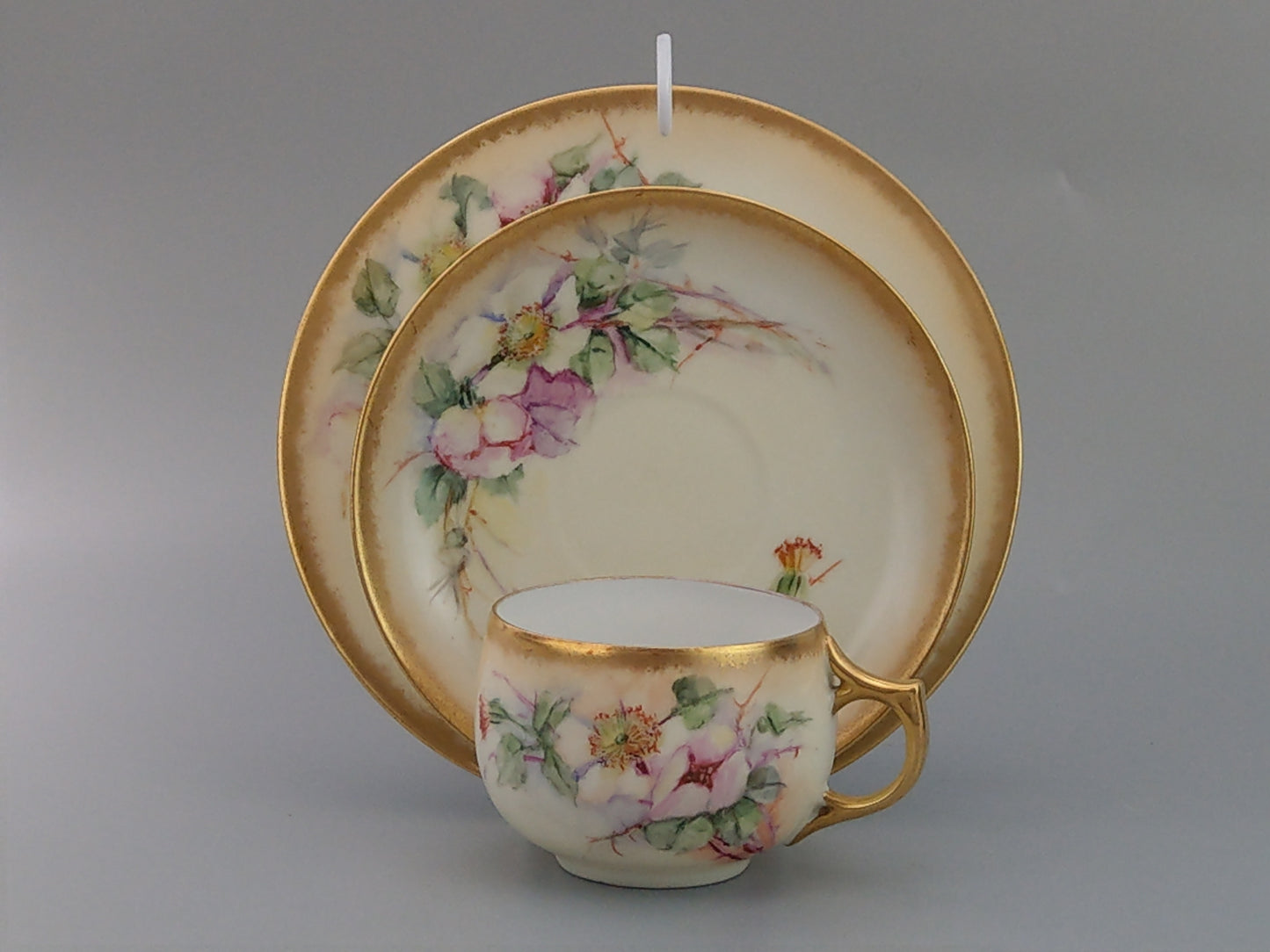 German Floral Trio Teacup and Saucer, Hand-Painted with Gold Gilt Rim