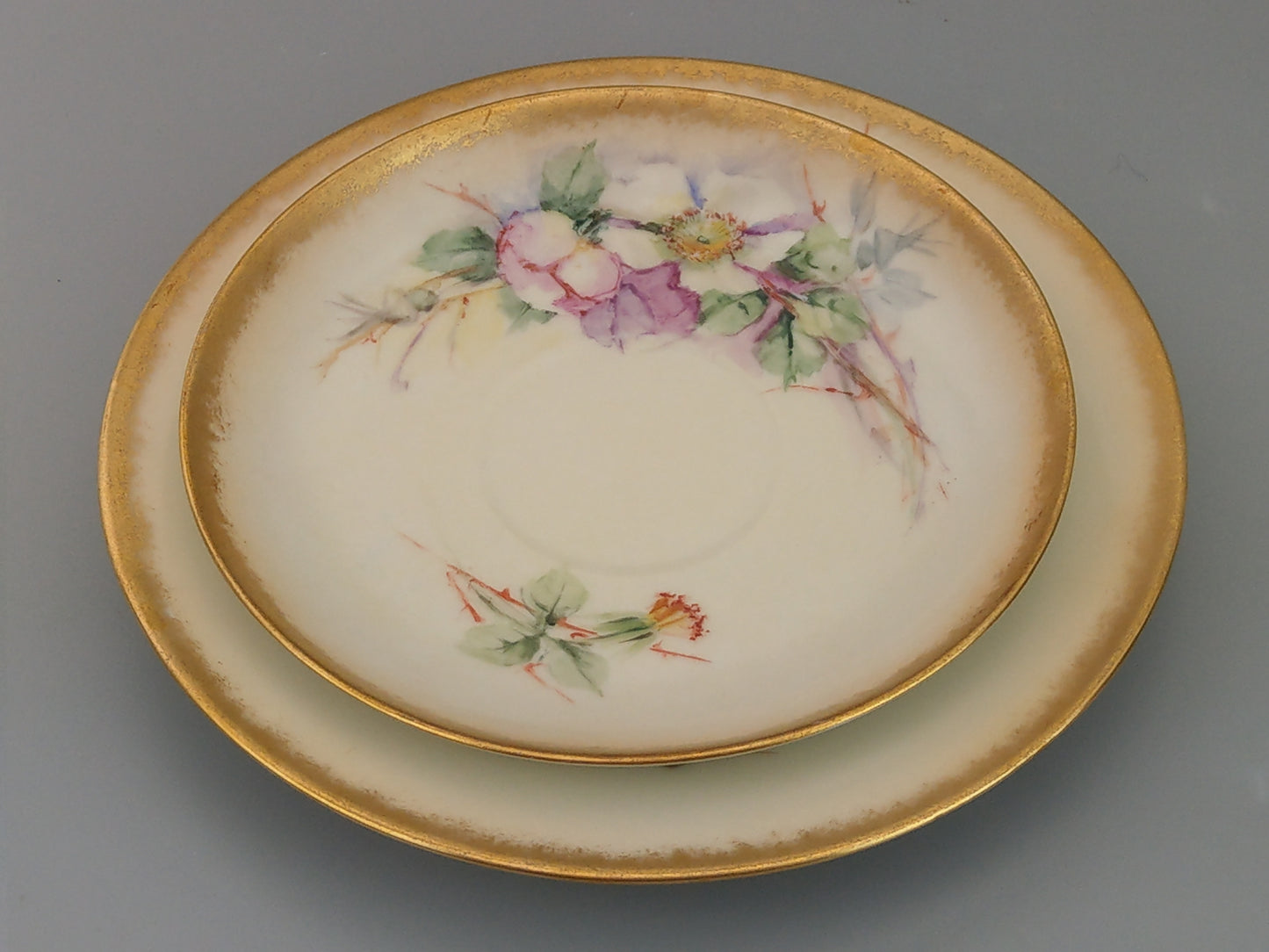 German Floral Trio Teacup and Saucer, Hand-Painted with Gold Gilt Rim