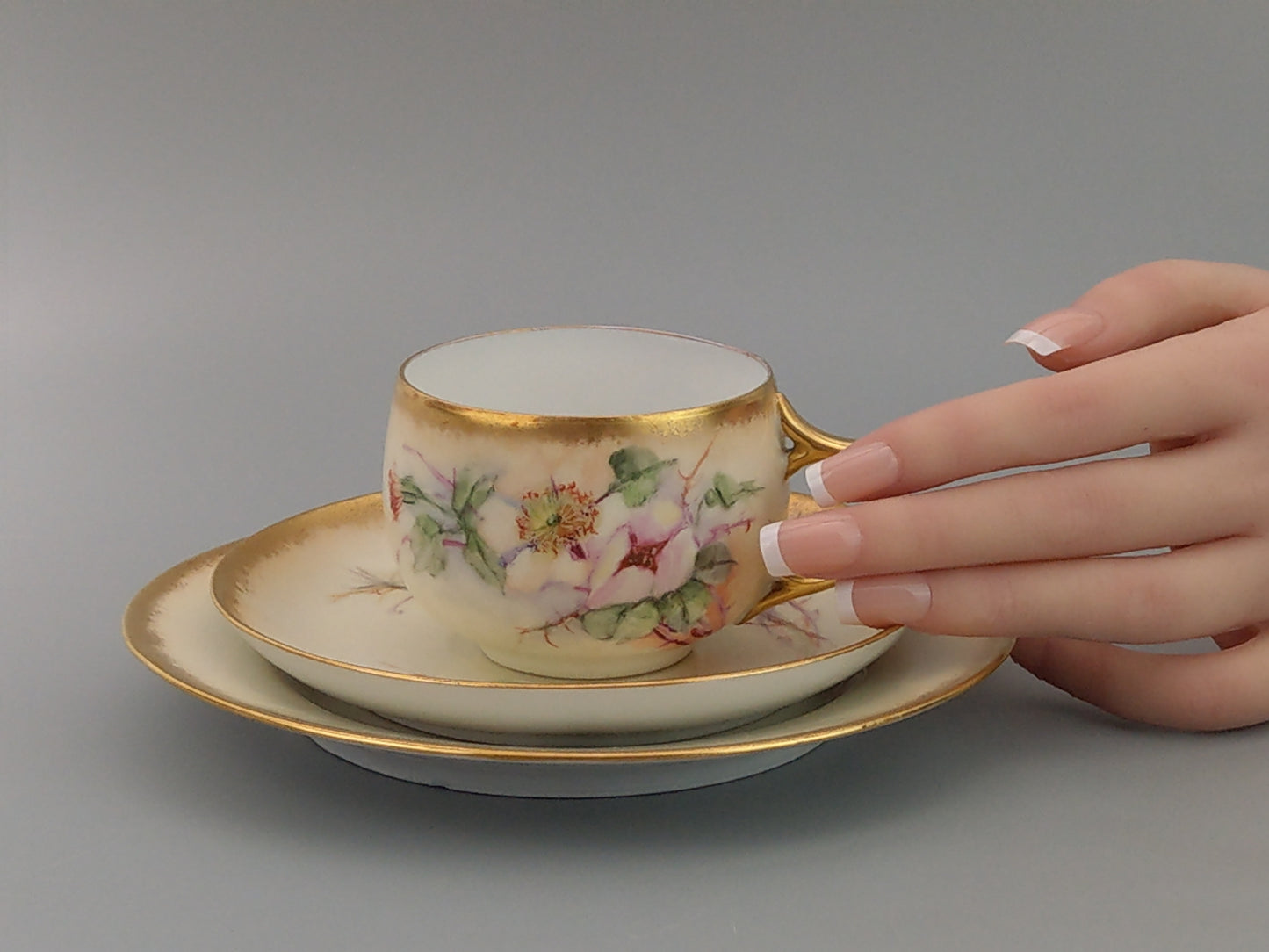 German Floral Trio Teacup and Saucer, Hand-Painted with Gold Gilt Rim